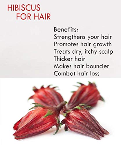 Argan Oil Hair Repair Serum for Dry Dull Damaged Hair, Frizz Control, Nourish, Protect, Promote Shine Gloss Volume & Straightening with Organic Hibiscus SPF 25 Sun Protection 2 oz